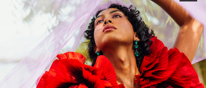 Activité Danse flamenco